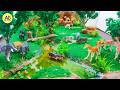 How To Make Forest Model