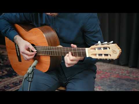 Ortega R16PC Traditional Series Solid Cedar Top Beechwood Neck Nylon 4/4 Size 6-String Classical Acoustic Guitar image 22