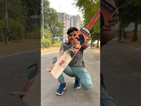 I Did Extreme Test of Bat