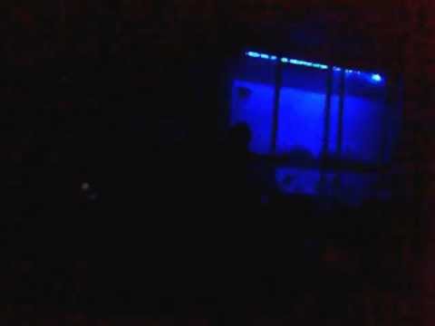 Hayko Cepkin - Açtırdınız Kutuyu - Cover (abdurrahim özegen)
