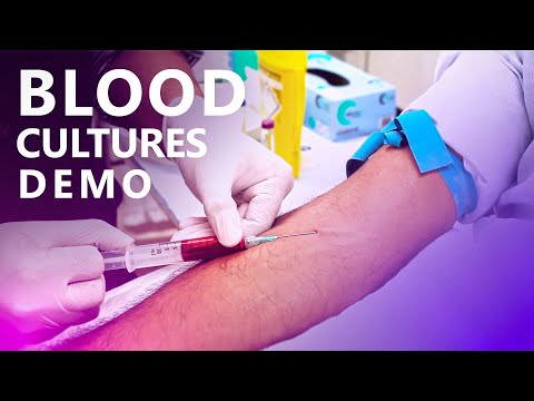 Taking Blood Cultures - OSCE Exam Demonstration Video