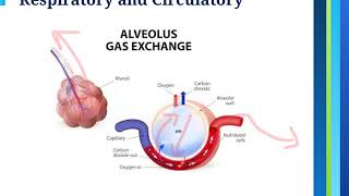 Interacting Systems