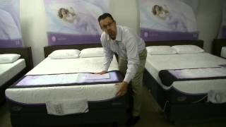 Sealy Optimum Inspiration Gold Mattress Information