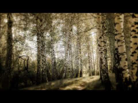 Dubravka Nešović, Ti bi hteo pesmom da ti kažem