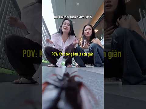 Khi chồng bạn là con gián #xonhaBun #viral #comedy #trending #shorts