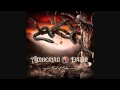 AMBERIAN DAWN - Arctica (with Lyrics) 