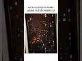 This Guy Made A Beat Out Of Crickets Memes Funny Comedy Beatbox