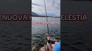 Download lagu TEST DAY KOLPO CELESTIA 7 e 9 metri. Le nuovissime canne fisse di casa Kolpo mp3