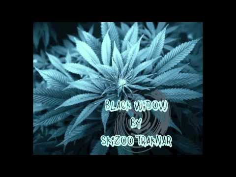 SkiZoO TraKnaR - Black Widow (RaggaJungle-RaggateK) - 2014