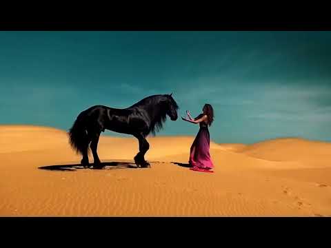 YolcuBeats - Enigma (Remix 2025)