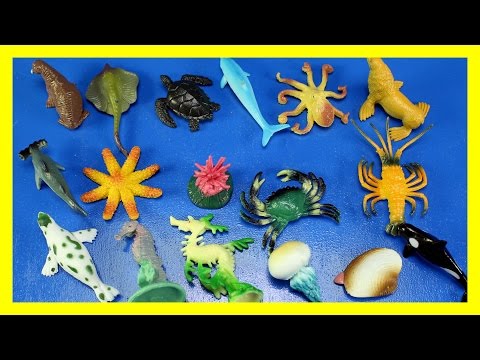 Learn 30 Sea Animals  - Fish Shark Whale Octopus Toys For Kids Video