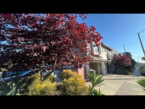 key3601 - Video 2 of 2