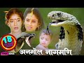 अनमोल नागमणि Anmol Nagmani Full Hindi Movie Y Vijaya Neelkal Ravi Sitara Manor