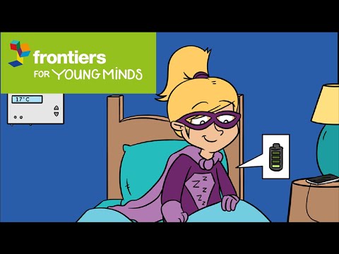 The Superpowers of Our Sleep · Frontiers for Young Minds