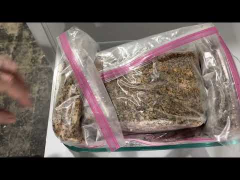 Bacon without a smoker or nitrites. Ingredients in the description.