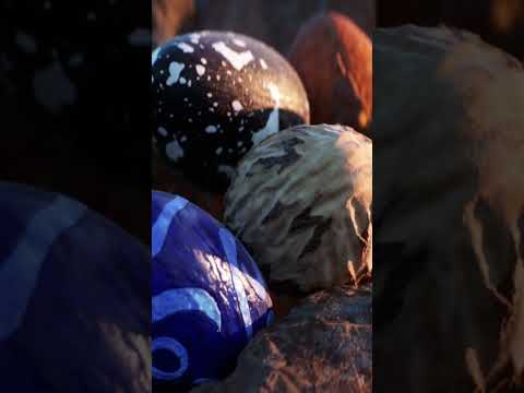 #WingsOfFire The Prophecy: where it all began #wof #shorts