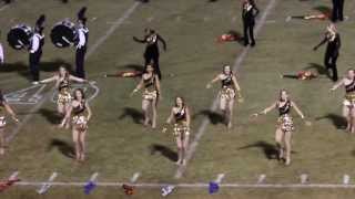 preview picture of video 'Walker HS (Jasper, AL) Marching Band 10/25/2013'