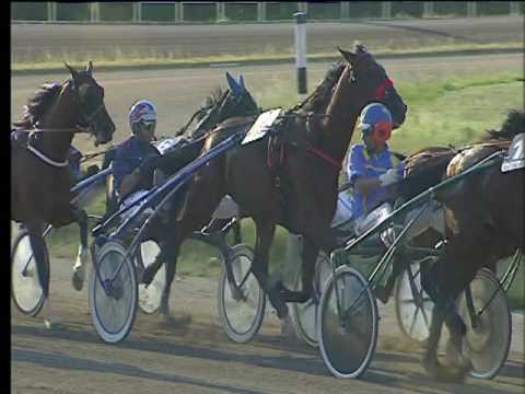 Trotto 28/05/2017 - 7 ª corsa