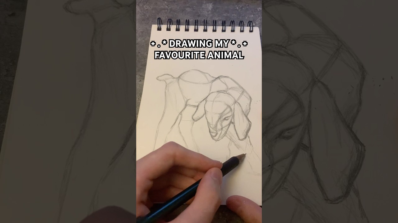 This Makes Me Want To Learn Animal Anatomy 🌟 #art #drawing #artist #draw #diy #mixedmedia