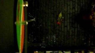 RUFUS HARLEY- a tribute to courage