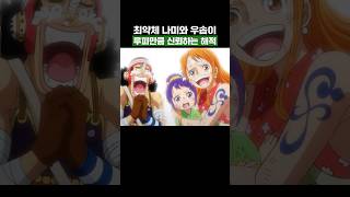 원피스) 최약체 나미와 우솝이 루피만큼 신뢰하는 해적