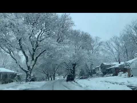 After the snow storm! Royal Oak Michigan, 🇱🇷