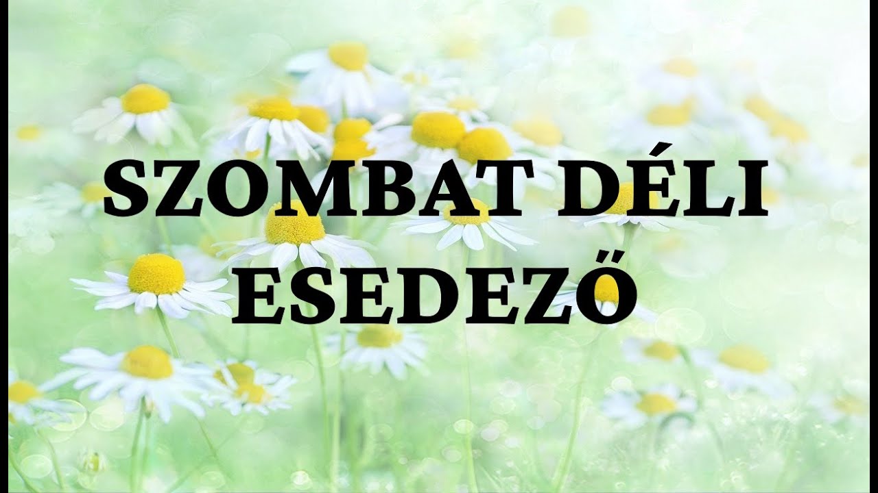 Szombat déli esedező