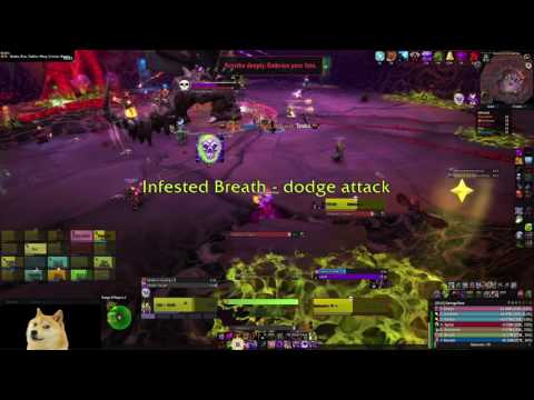 Twisted - Nythendra Mythic Kill