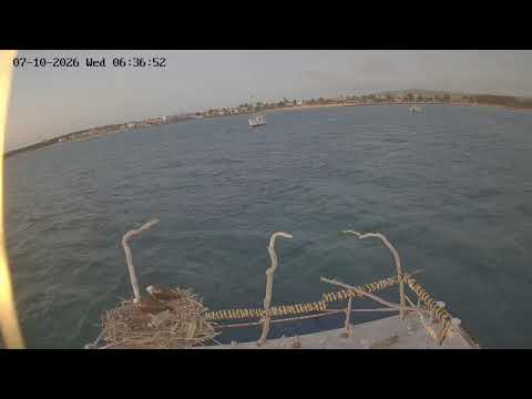Port Lincoln Marina