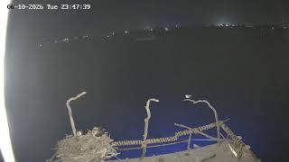 Port Lincoln Marina