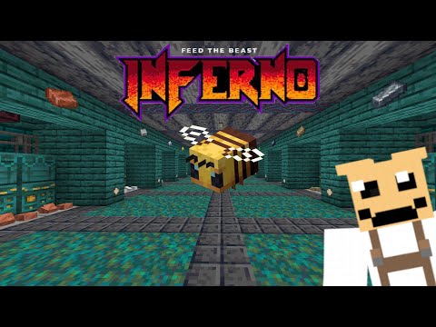 Building a New place for Bees FTB Inferno