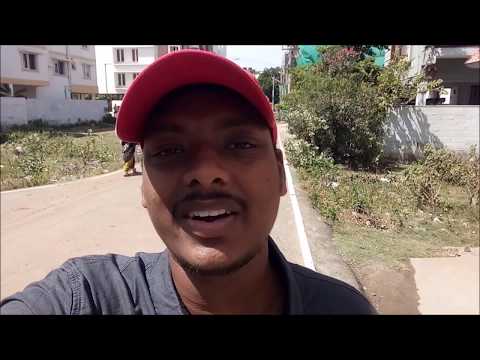 Crocodile Park in Chennai | Travel vlog  | AKSHITH ACHU