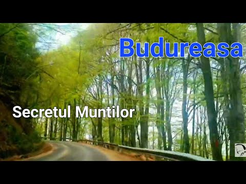 Budureasa-Stana de Vale