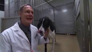 Animal Research Laboratory