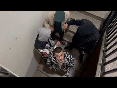 ZOTRILILI - DËSHTAKA