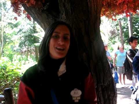 Re: Eurovision Final 2008 Israel Boaz - Ke'ilo Kan (With Lyrics)