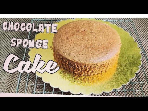 Chocolate cake recipe Shabbu's Kitchen | Chocolate cake | Chocolate sponge cake | Basic Cake recipe