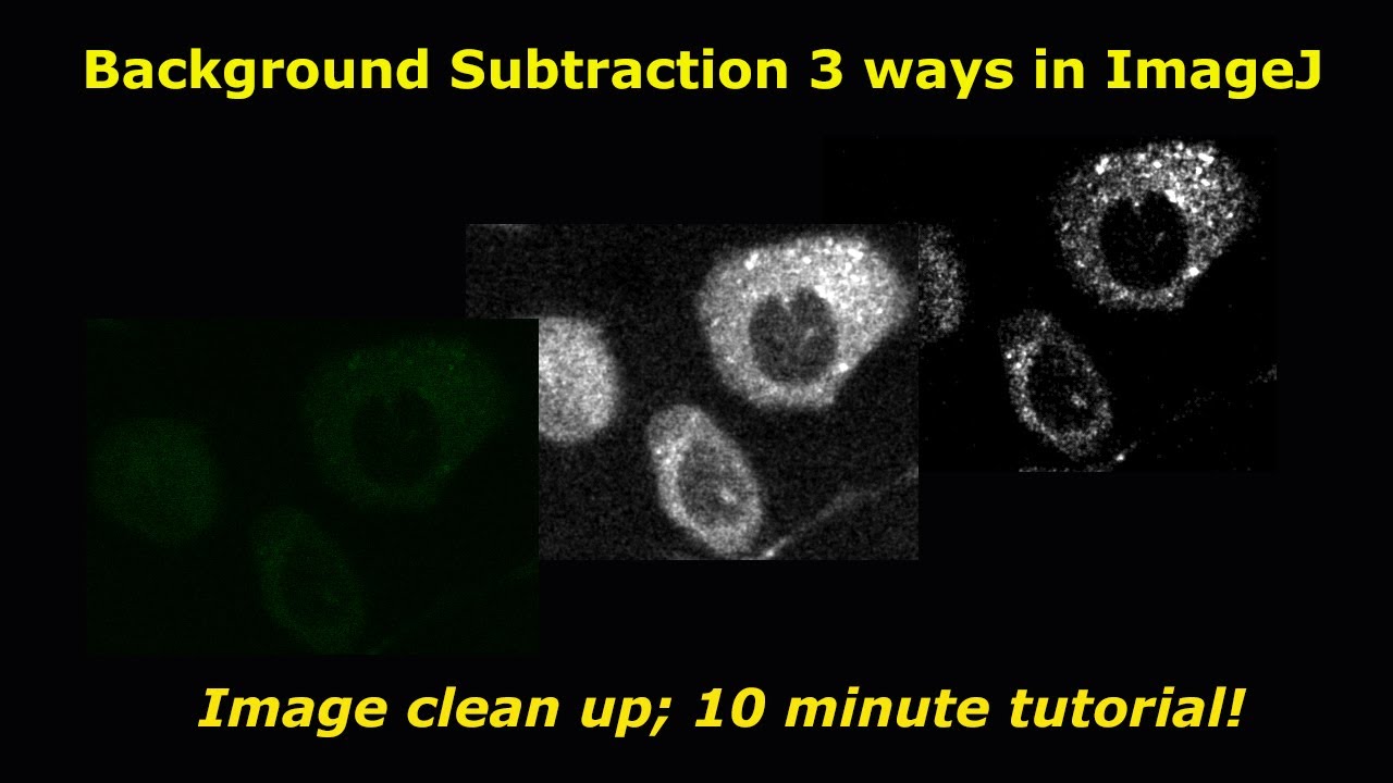 Background subtraction in imageJ (3 ways)
