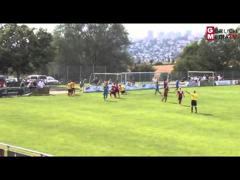 Fußball-Hessenliga - Lehnerz - Wehen Wiesbaden II - 2. August 2014 - www.osthessen-zeitung.de