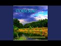 Storm Song, Pt. X