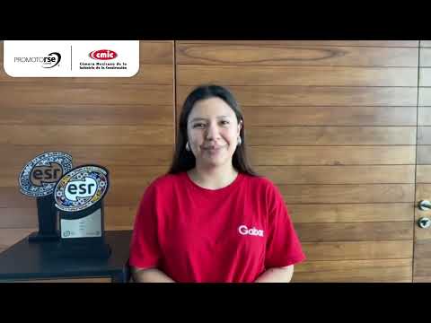 Video 1