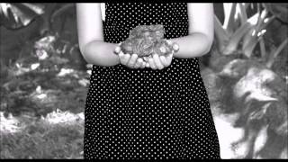 Los Planetas - Santos que yo te pinté