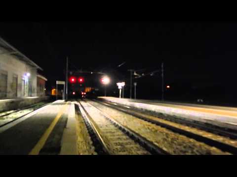 Tigri per Milano,Caimano per Bari!