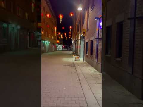 Enchanting Night Stroll through Uppsala's China Garden | A Glimpse of China in Sweden🌙✨ #short