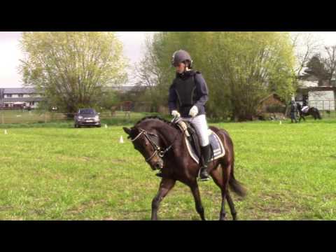 Nobelina -T /Nobel Nagano /Charivari met Tricia Meyvis