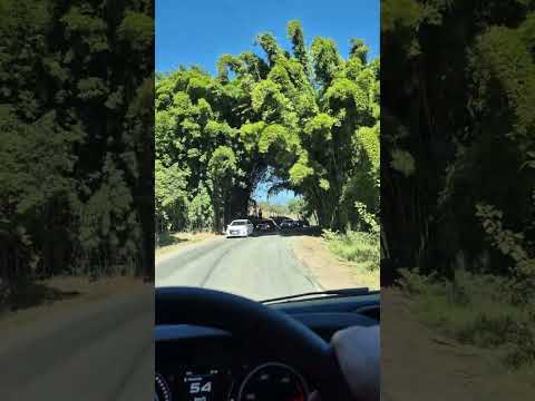 Sul de Minas, Itanhandu MG.