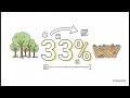 The Longevity Of Green