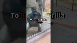Gorilla vs 5 Bodybuilders Tug of War — Gorilla Wins Easily 🦍💪 #shorts #animals
