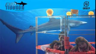 DIA 3 Expo Tiburon204