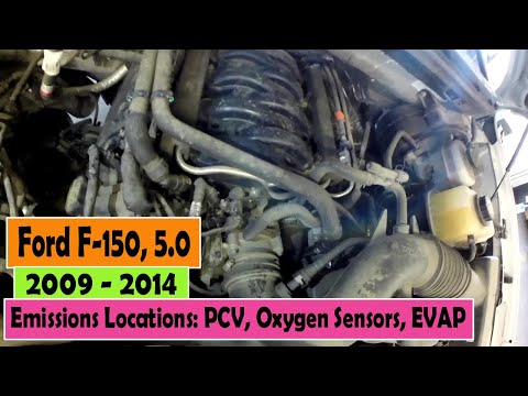 ⫷ Ford │ F-150 │ 2009 - 2014 5.0L │ Emissions Locations: PCV, EVAP Purge, Vent, Oxygen Sensors ⫸